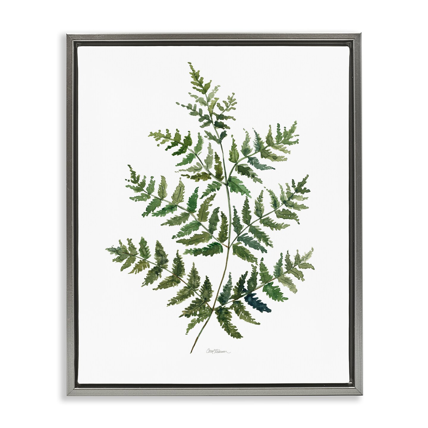Stupell Industries Flared Fern Branches Floating Frame By Carol Robinson