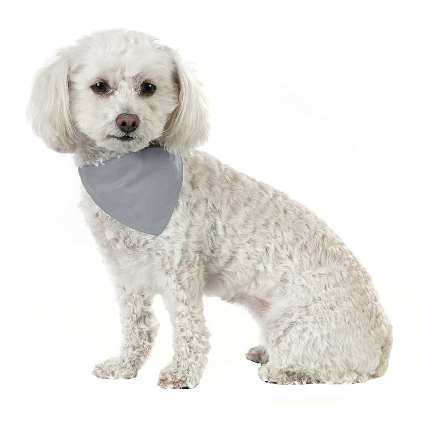 3 Pack Solid Cotton Dog Bandana Triangle Bibs - Small & Medium Pets