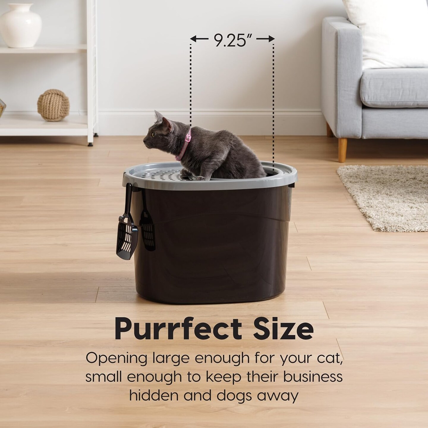 IRIS USA Oval Top Entry Cat Litter Box with Litter Catching Lid, Privacy Walls and Scoop