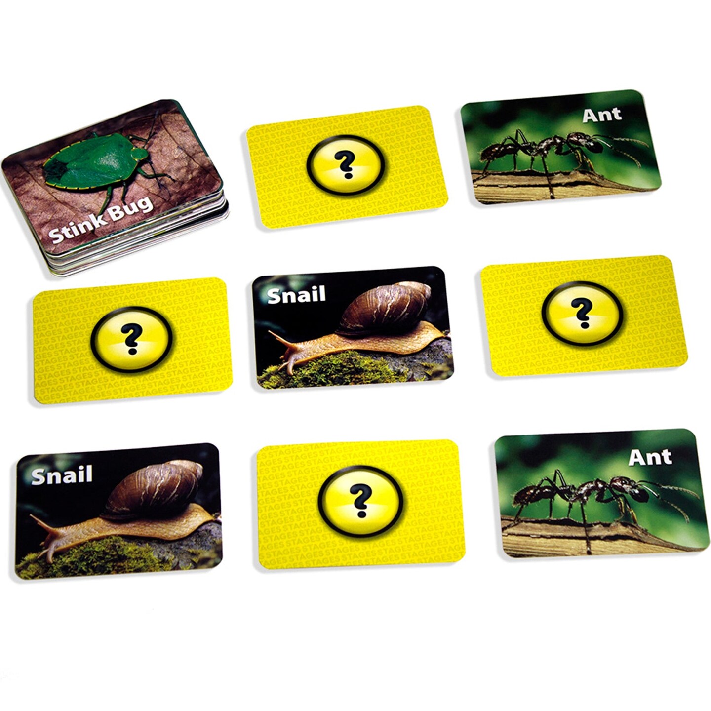 Photographic Memory Matching Game, Insects &#x26; Bugs