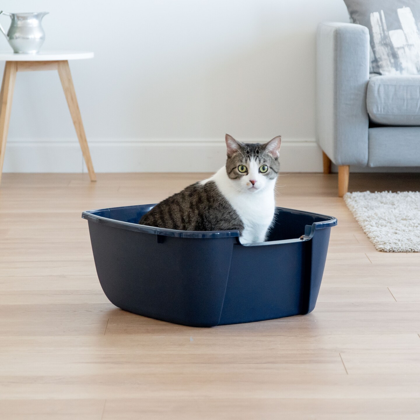 IRIS USA Cat Litter Box Cat Litter Pan with Scoop, Navy