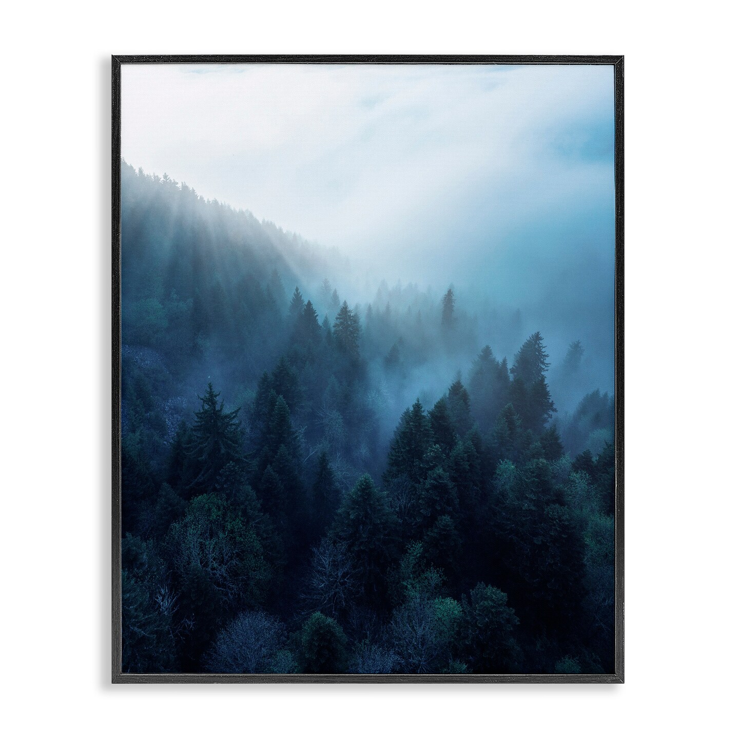 Stupell Industries Daylight over Pine Forest Framed Giclee Art