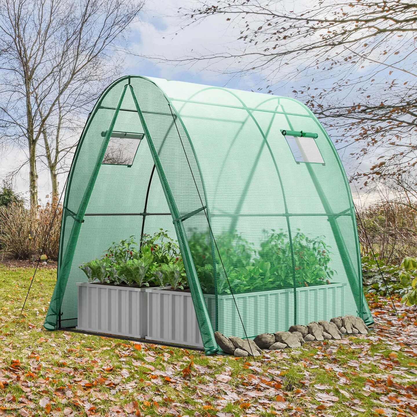 Costway Portable Greenhouse with 2 Zippered Doors 2 Roll-up Screen Windows 6 x 6 x 6.6 FT Green/White
