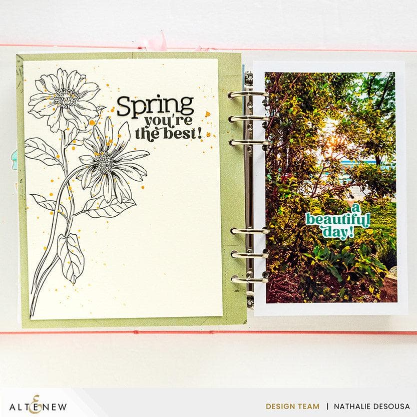 Wild Daisies Press Plate Set