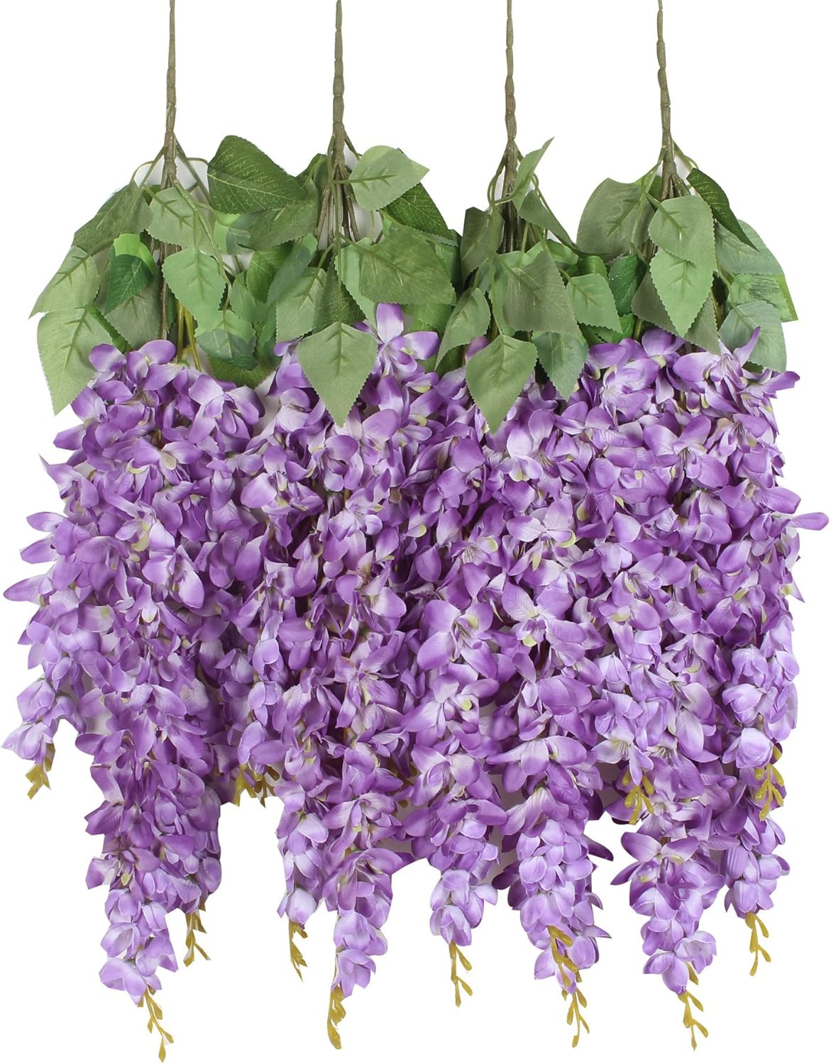 biologisches saatgut kaufen BIO-Saatgut Physalis Andenbeere aus kontro Gartenpflanze kaufen