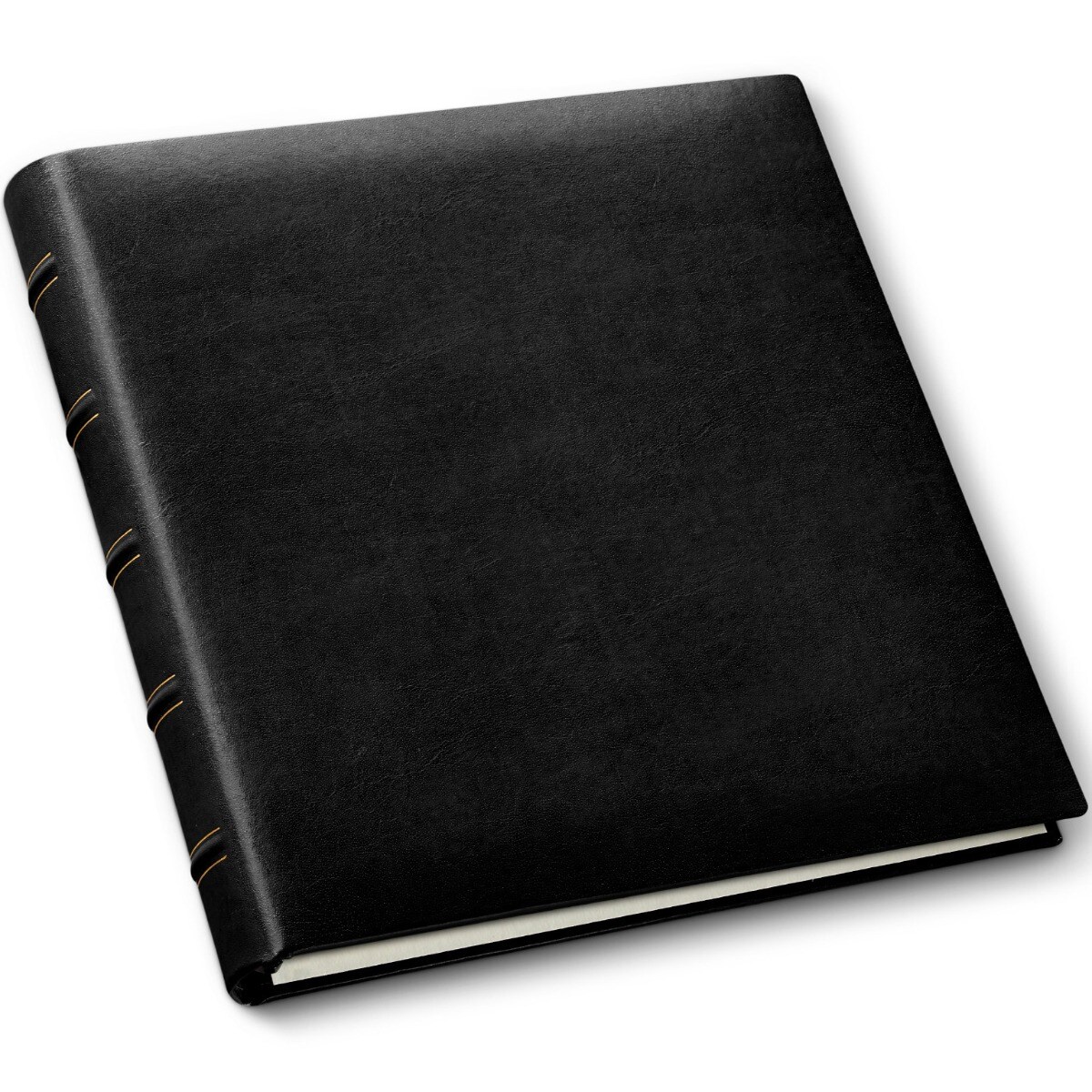 Gallery Leather Premium Ring-Bound Scrapbook, 12.25"x11.75" Leather Cover, 10 Sheets Ivory Inserts, Perfect for Customization