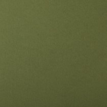 Colorplan by Legion Papers 11