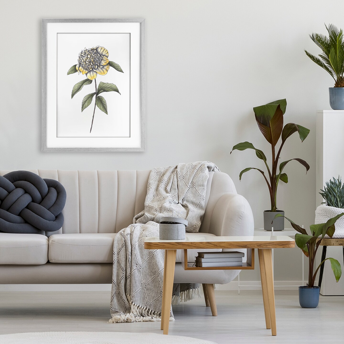 Stupell Industries Camellia Flower Illustration Framed Print Under Glass, design by Cecilia Battaini