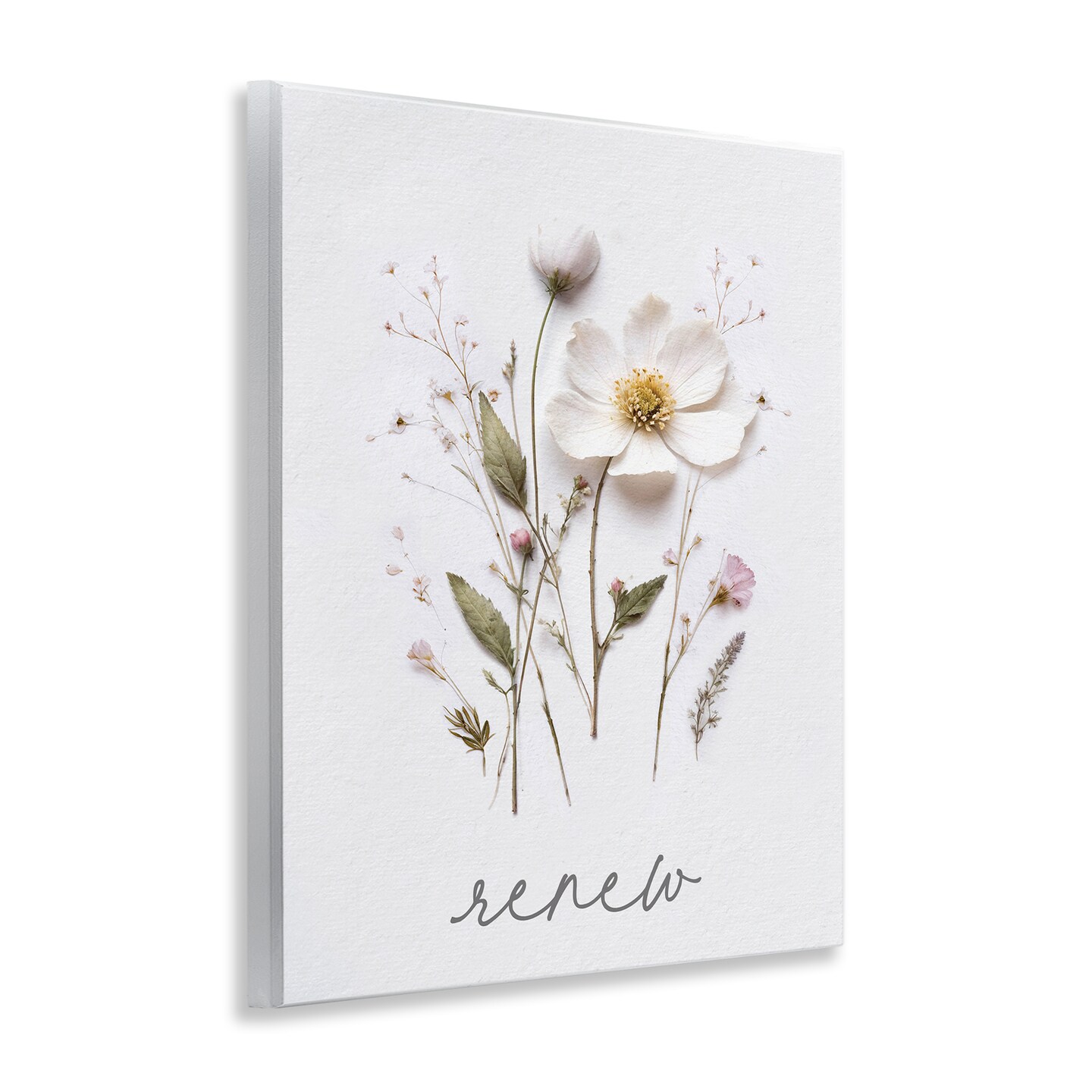 Stupell Industries Pressed Flowers Renew Wall Plaque, design by Lettered and Lined