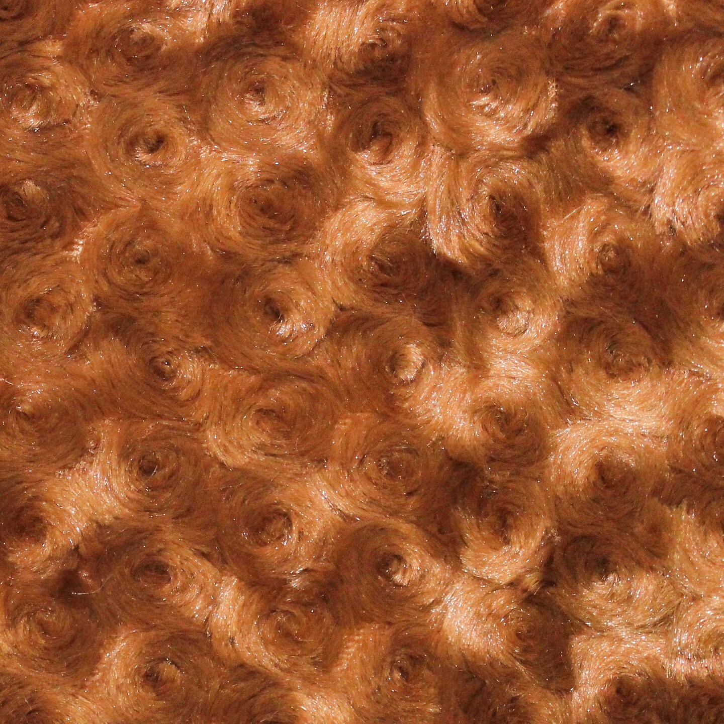 1 Yard Rosebud Minky Fabric Plush Textured Soft Material for Blankets 60 Inch Width