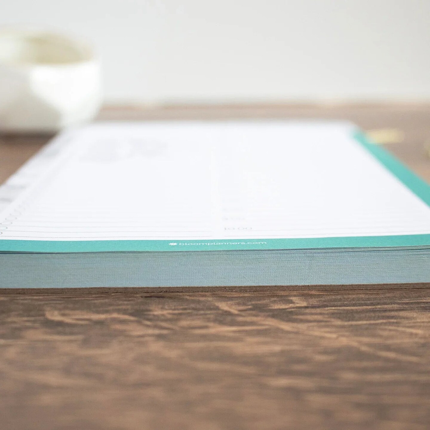 bloom daily planners Planning Pad, 6" x 9", Timed Daily Pad, Marble & Mint