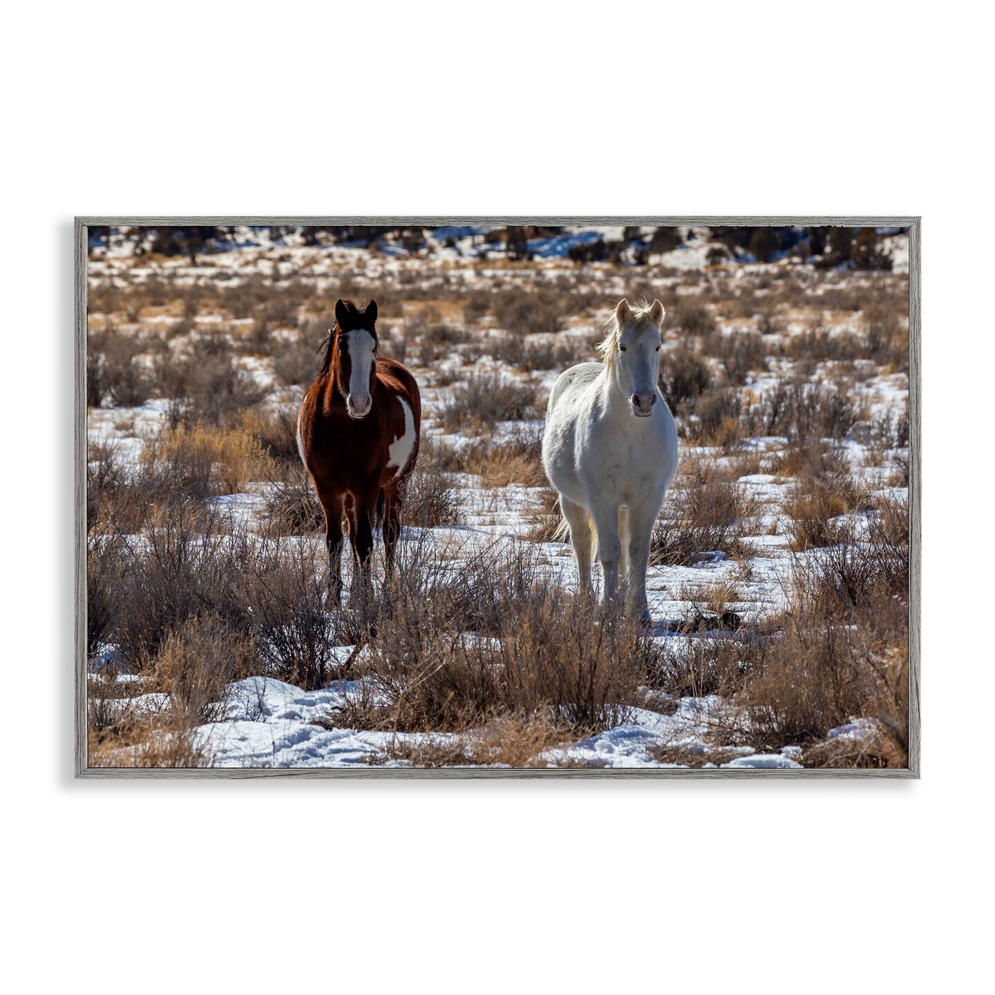 Stupell Industries Arches Horse Pair in Snow Framed Giclee, design by Jeff Poe Photography