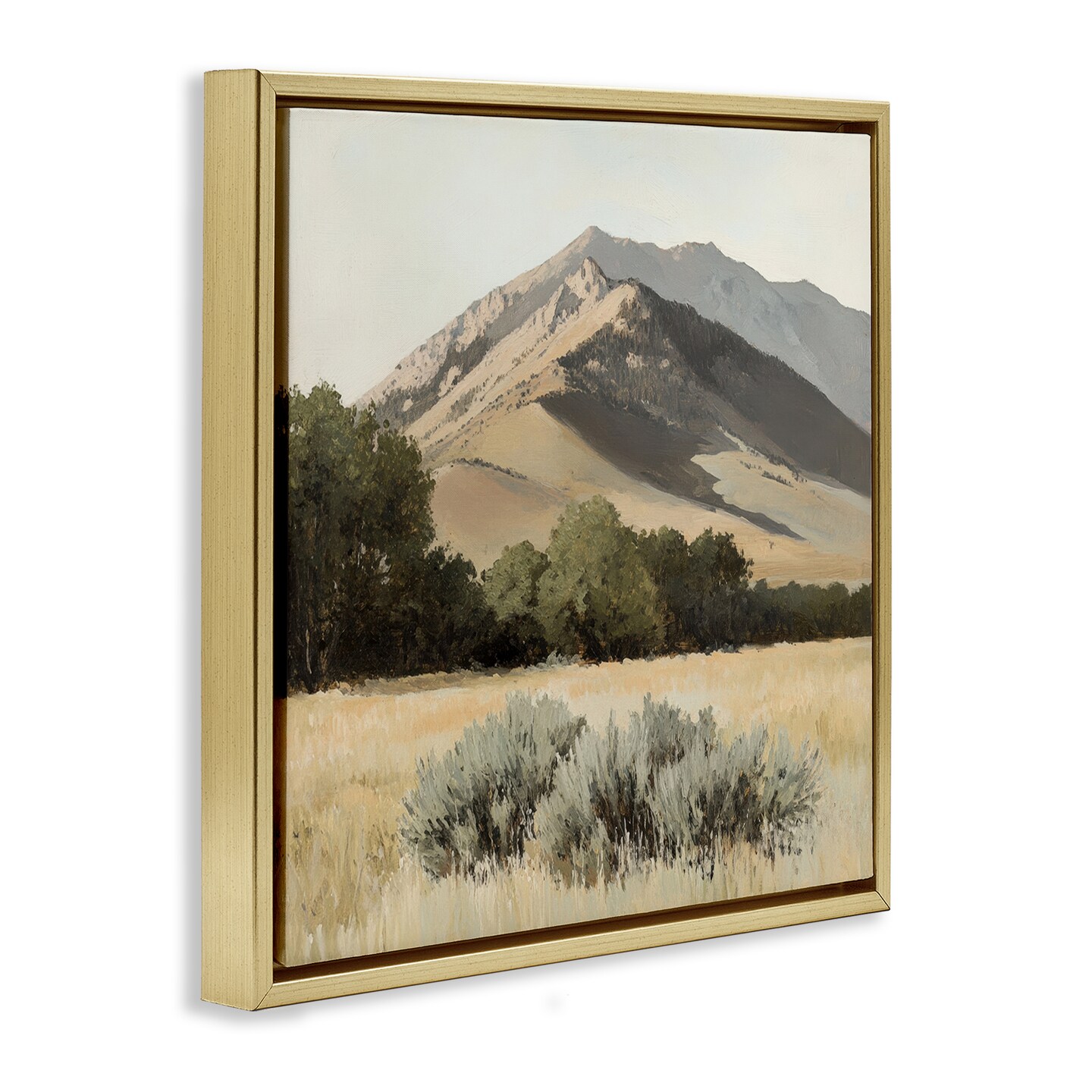 Stupell Industries Mountain Ridgeline Landscape Floating Frame, design by Petal Prints Design