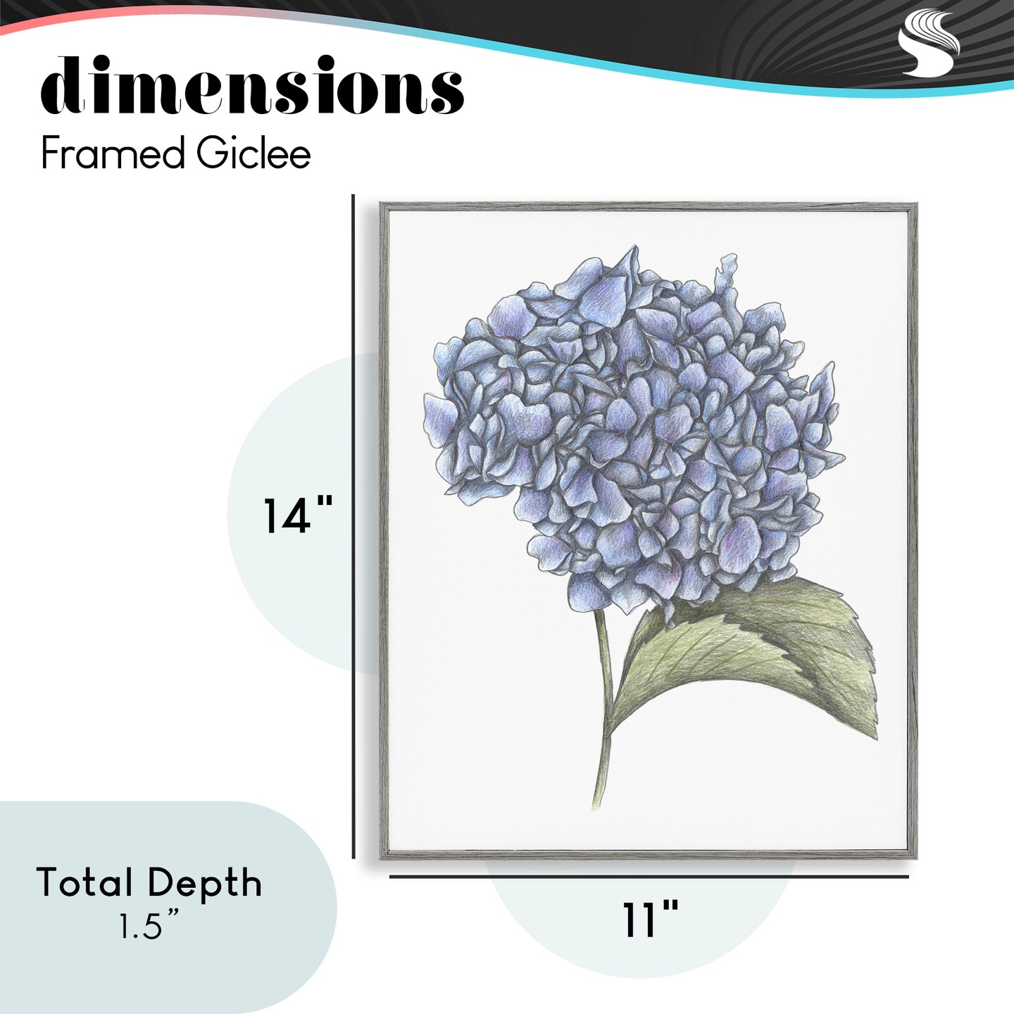 Stupell Industries Hydrangea Sketch Blossom Framed Giclee, design by Cecilia Battaini