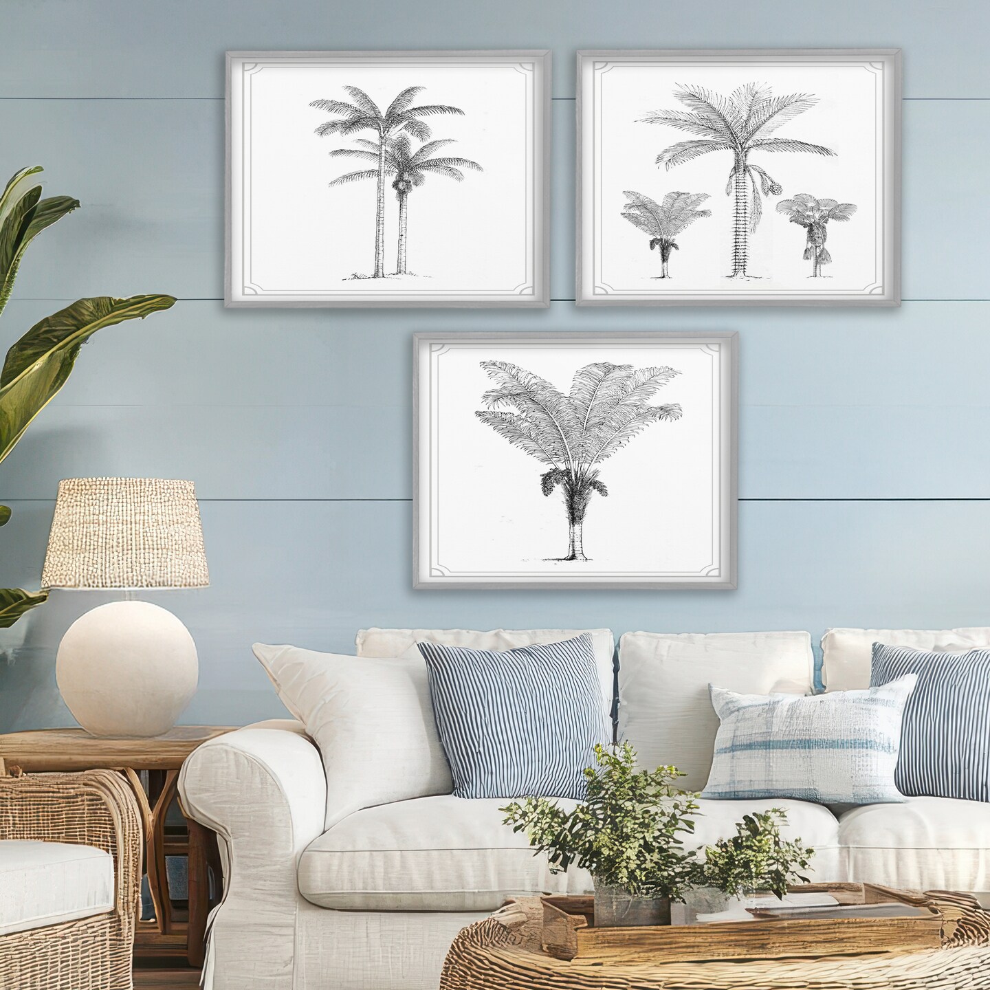 Stupell Industries Minimal Vintage Palm Tree Sketches 3pc Framed Giclee Set, design by Lettered and Lined