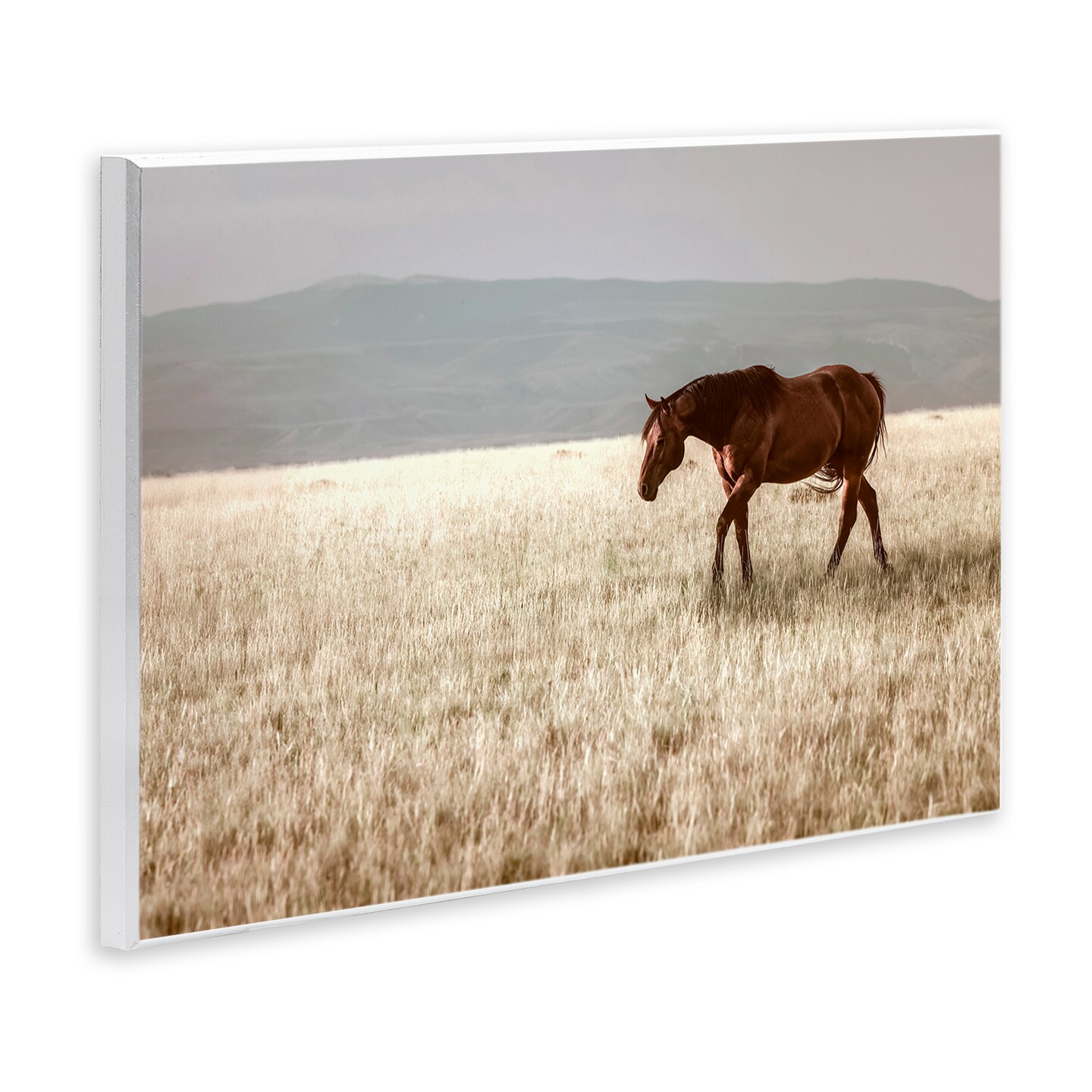 Stupell Industries Serene Montana Stallion Wall Plaque, design by Christy Berry