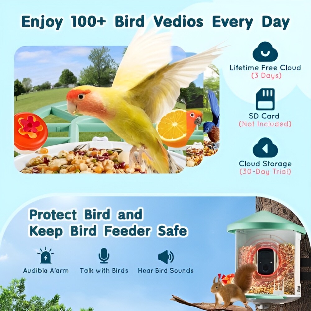 Solar AI Bird Feeder with 2K Camera, 2L Food Container and Night Vision