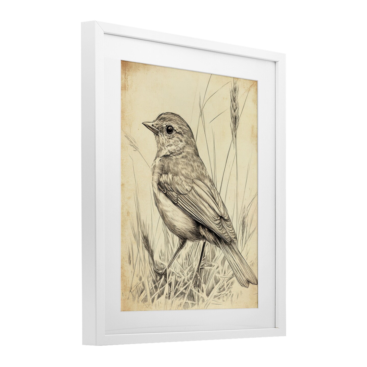 Stupell Industries Vintage Small Sketched Bird Framed Print Under Glass, design by Petal Prints Design