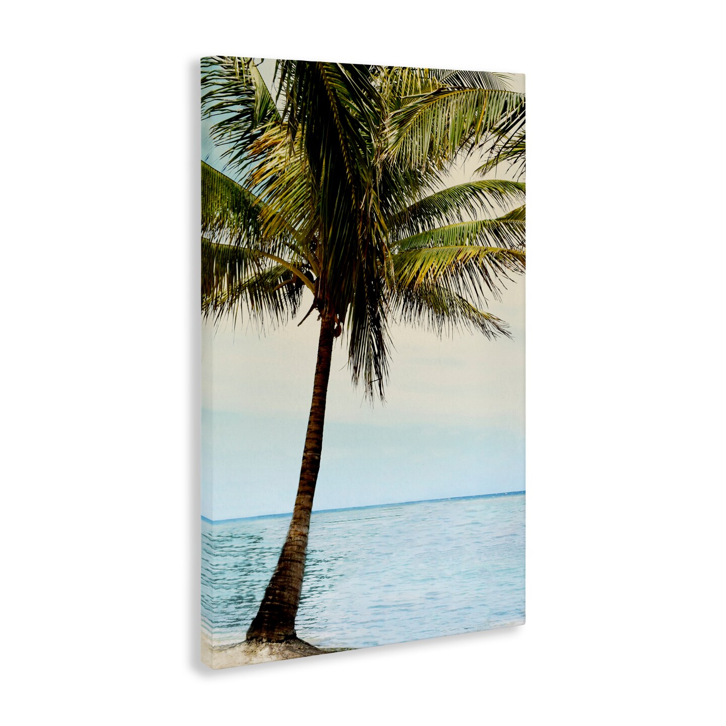 Stupell Industries Honduras Coast Palm Tree Canvas, design by Natalie Carpentieri