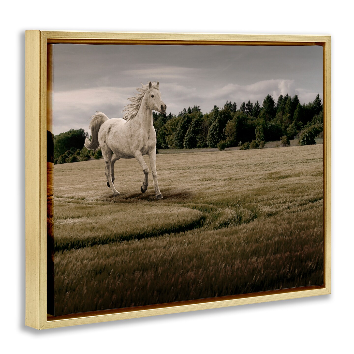 Stupell Industries Galloping Through Field Horse Floating Frame, design by Marcus Prime