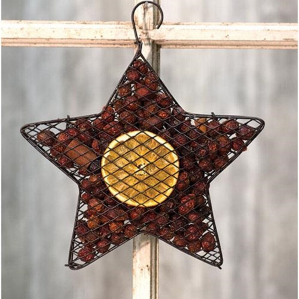 Wire Mesh Star w/ Orange Potpourri 9&#x22;
