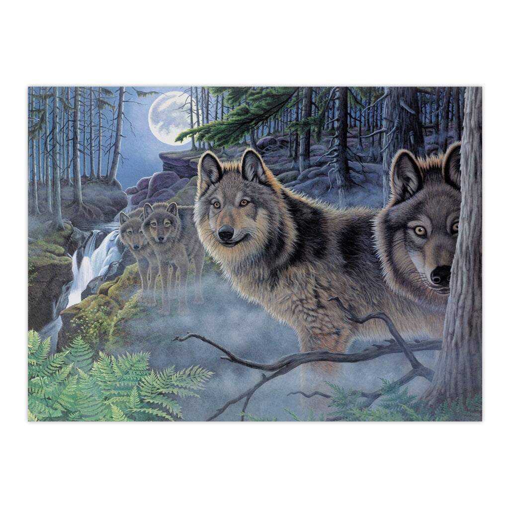 PAL39 | Painting by numbers&#x2122; 13pc 11.25&#x22; x 13.375&#x22; Mystical Moonlight Painting Project