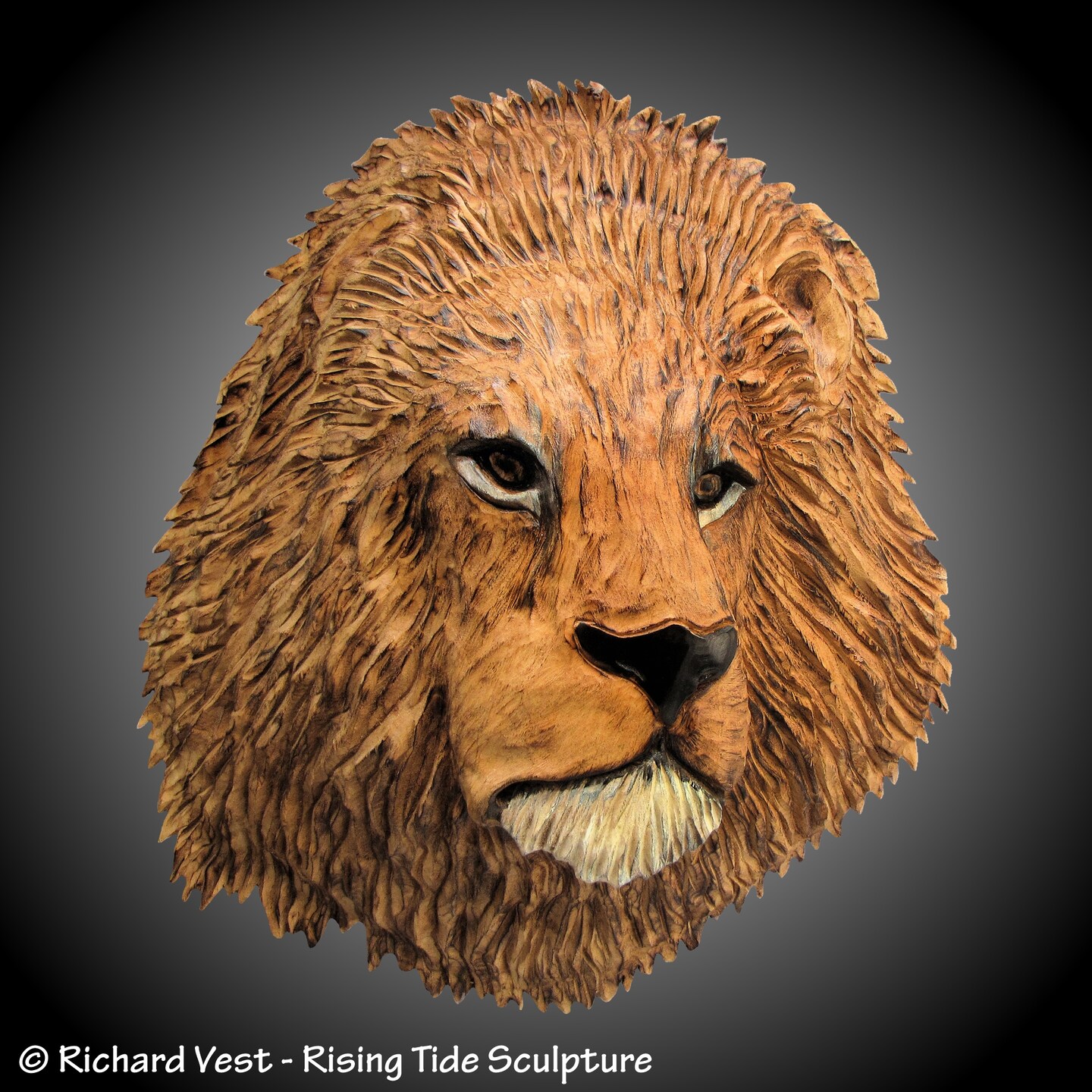 Hand Carved African Lion Bust Wood Wall Sculpture, Alder, Tung Oil Finish, Home Or Office
