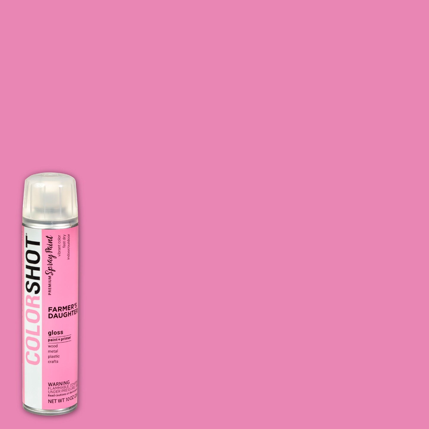 COLORSHOT Gloss Spray Paint Farmer&#x27;&#x27;s Daughter (Pink) 10 oz. 4 Pack