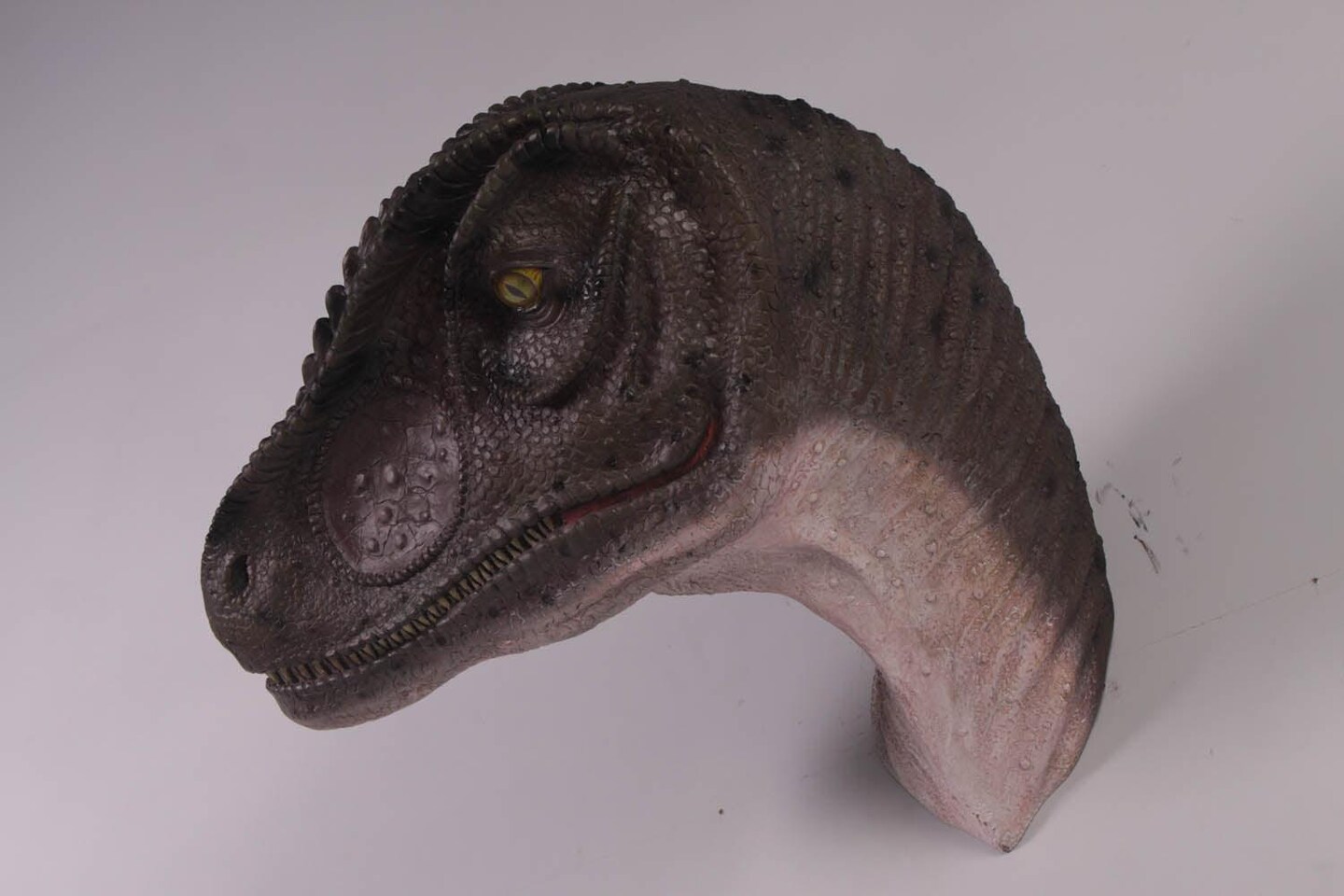 Allosaurus Dinosaur Head Life Size Statue