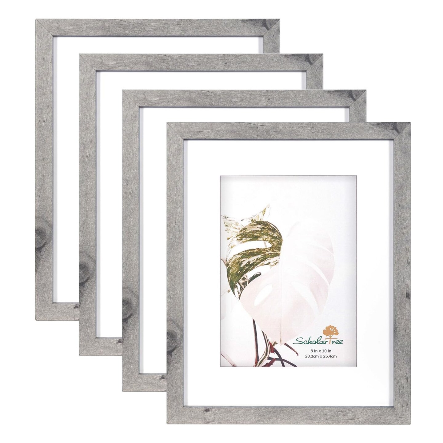 Grey 8x10 Picture Frame set of 4, Display 8x10 without Mat Wall Gallery Photo Frames