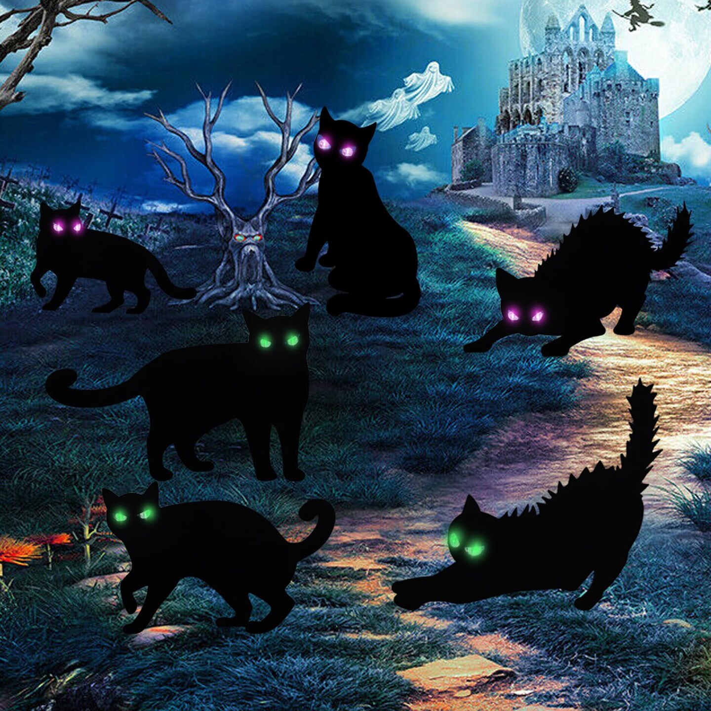 Black cat Halloween online lights