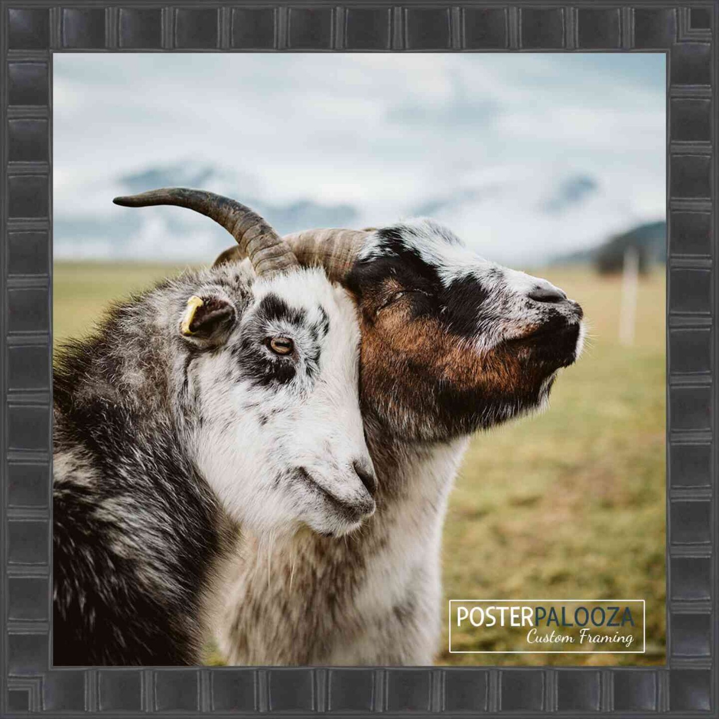 Square Deco Black Picture Frame - UV Acrylic, Foam Board Backing, Hanging Hardware