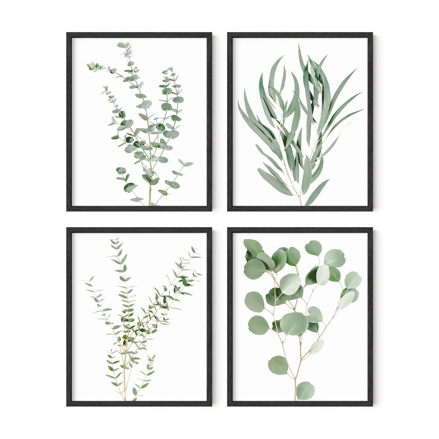 Haus and Hues Botanical Prints Set of 4