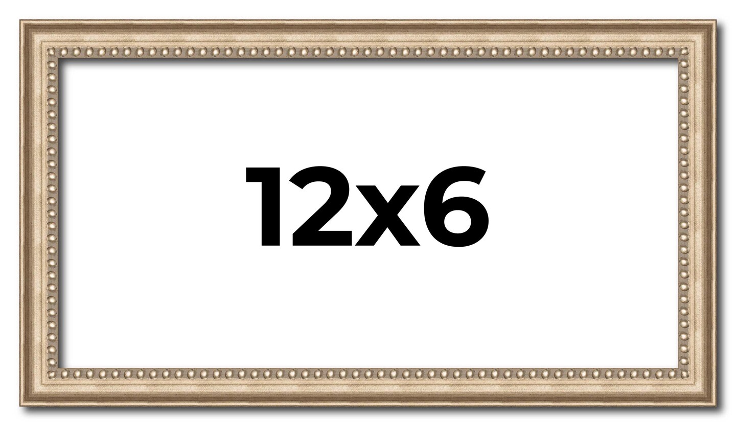 Panoramic Minimalist Silver Picture Frame - UV Acrylic, Foam Board Backing, Hanging Hardware