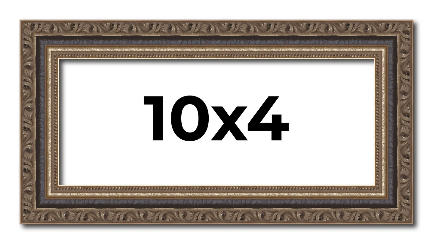 Panoramic Sculpted Silver Picture Frame - UV Acrylic, Foam Board Backing, Hanging Hardware