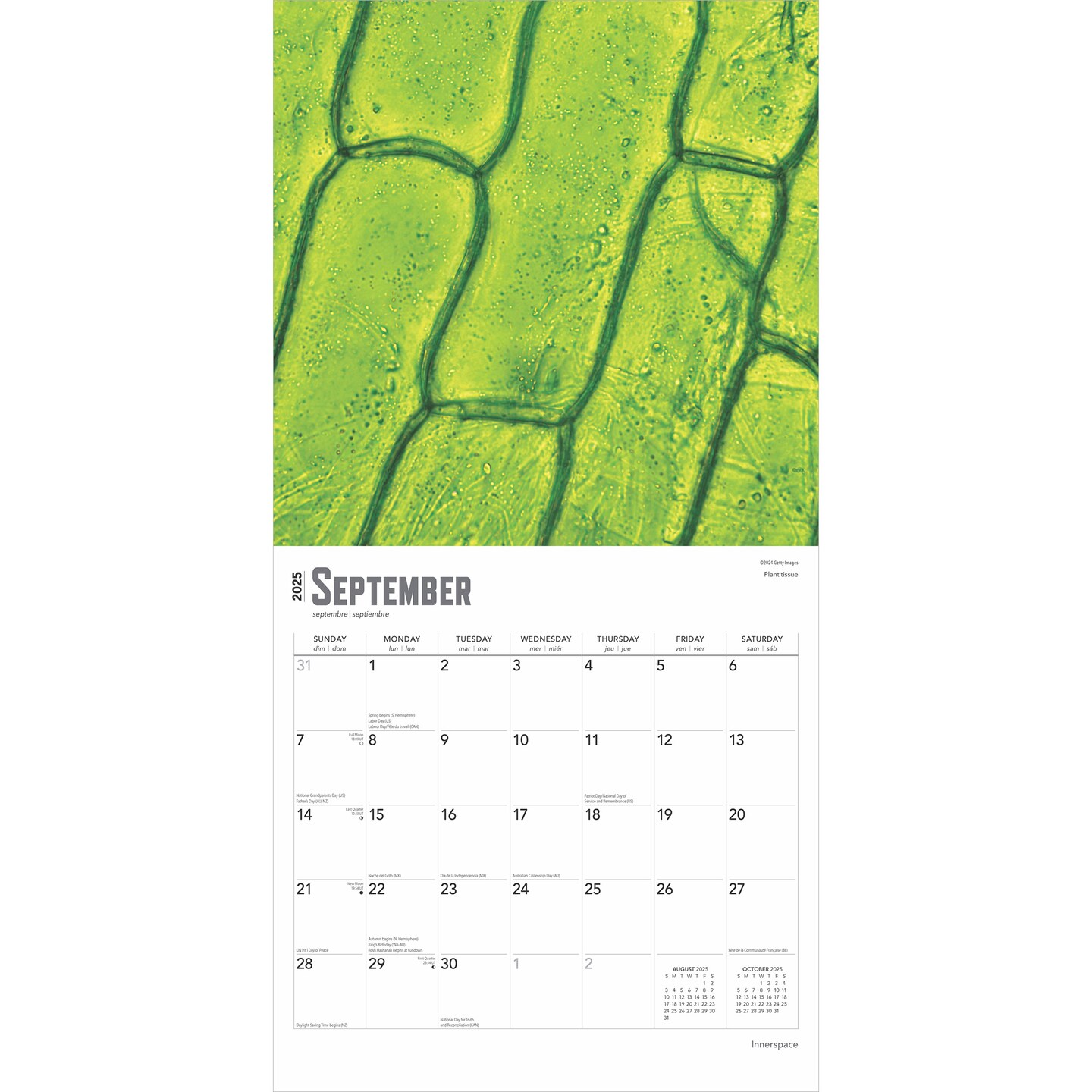 Innerspace | 2025 12 x 24 Inch Monthly Square Wall Calendar | Plastic-Free | BrownTrout | Science Space Exploration Nature