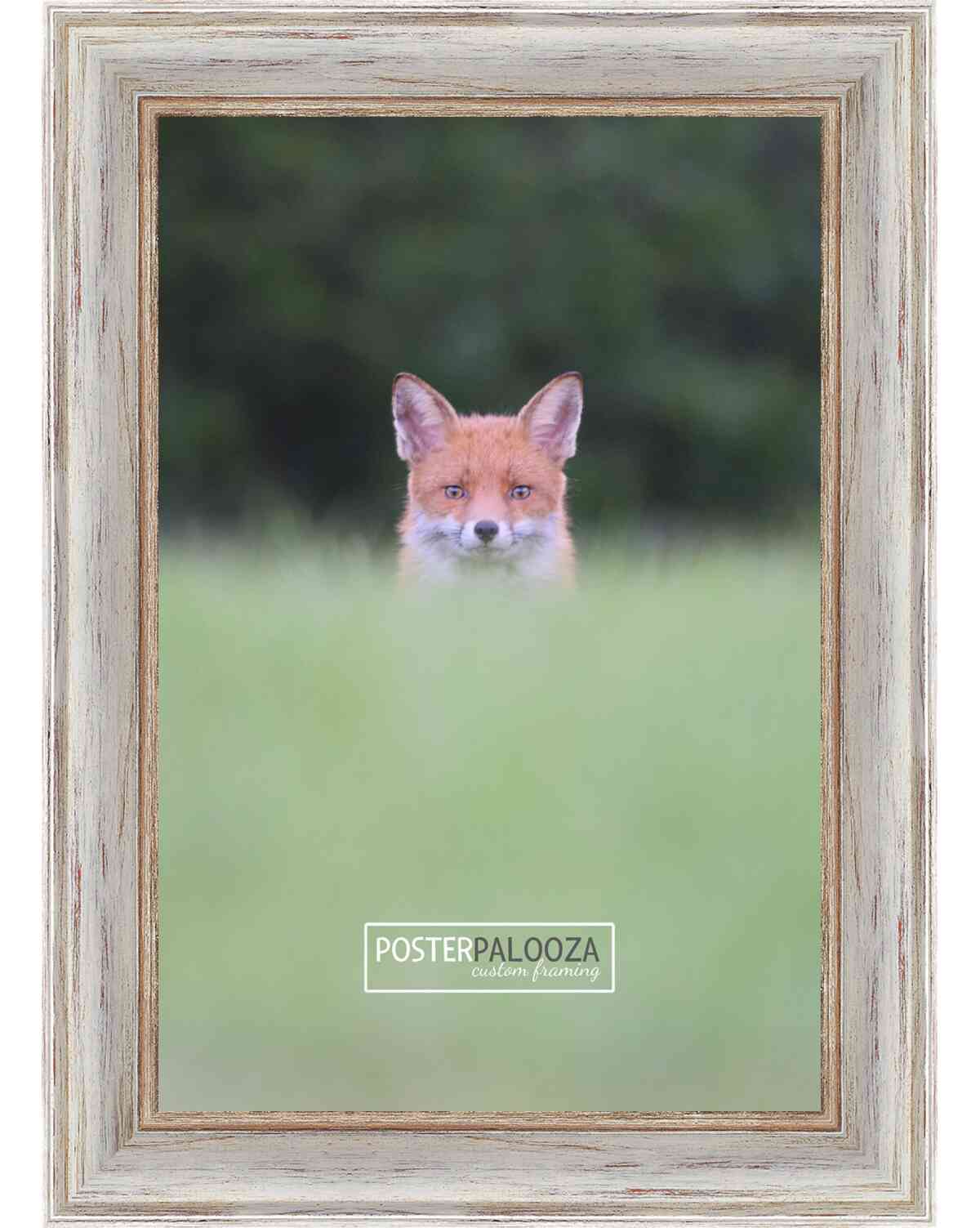 Photo Size Weathered White Picture Frame - UV Acrylic, Foam Board Backing, Hanging Hardware