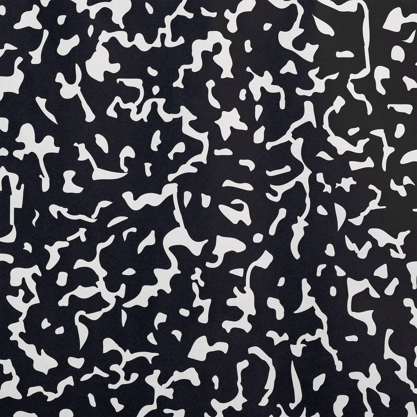 Schoolgirl Style Bulletin Board Paper, 48&#x22; x 12&#x27;, Senior Year, 4 Rolls