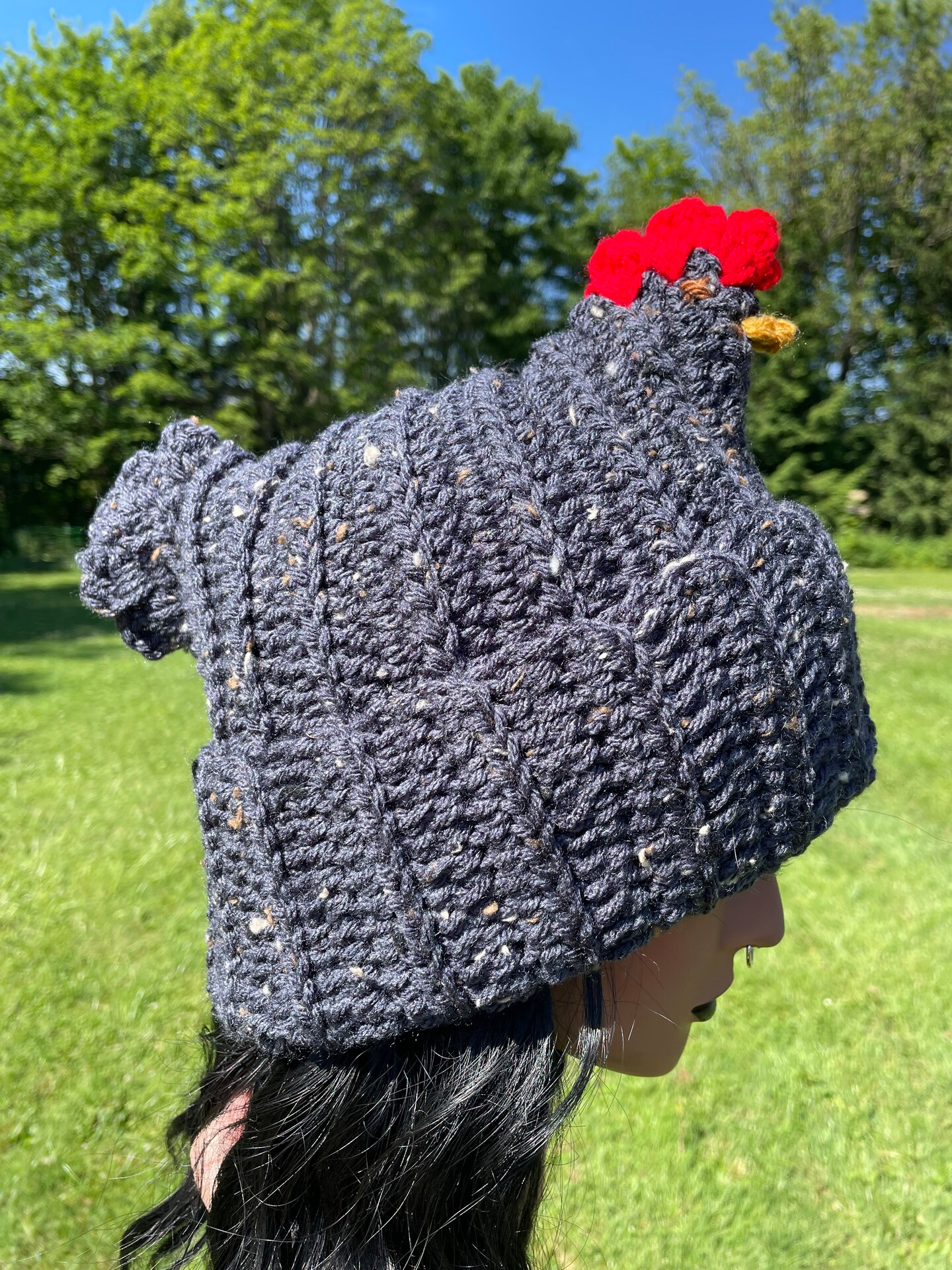 Crochet Kit Crochet Chicken Hat Pattern Free Crochet Chicken
