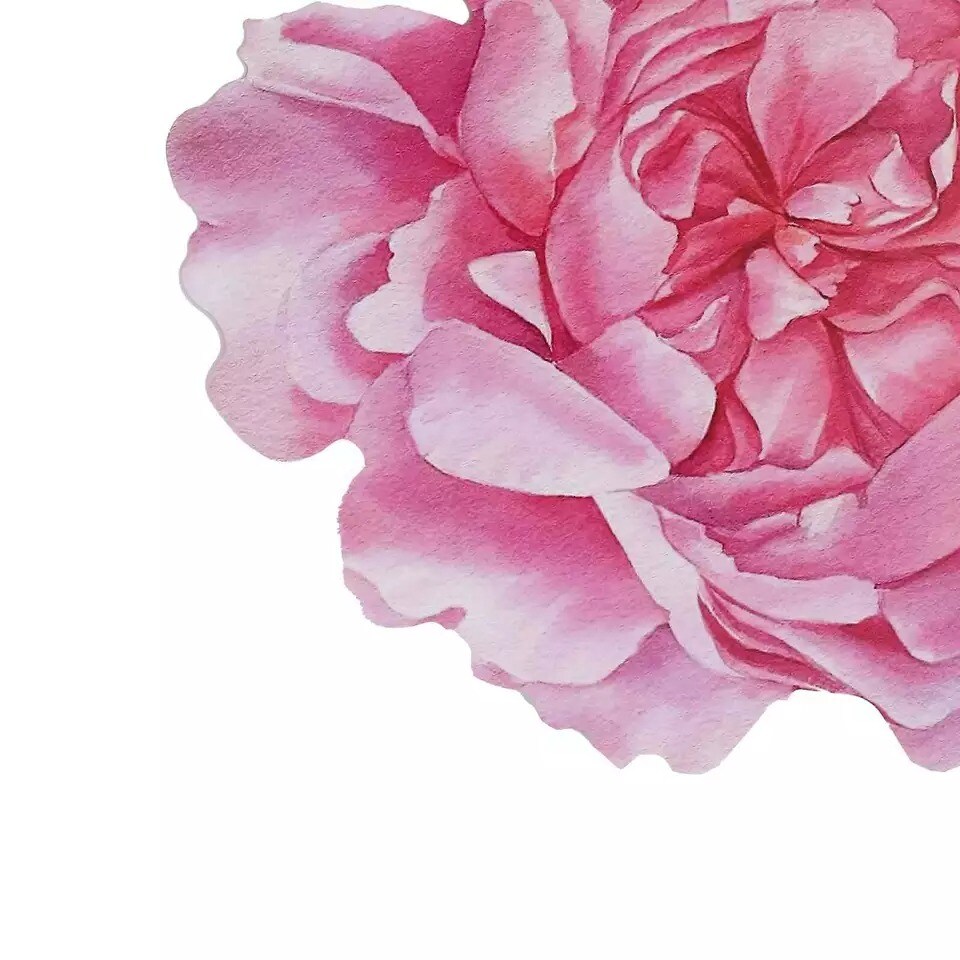 10 Pink Peony Flower Cardboard Paper Placemats Party Events Decorations Supplies