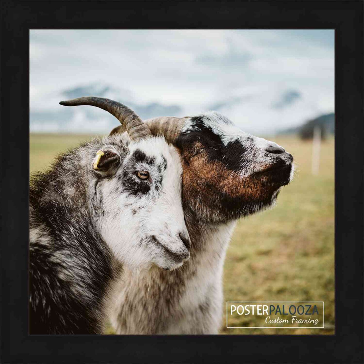 Square Flat Black Picture Frame - UV Acrylic, Foam Board Backing, Hanging Hardware