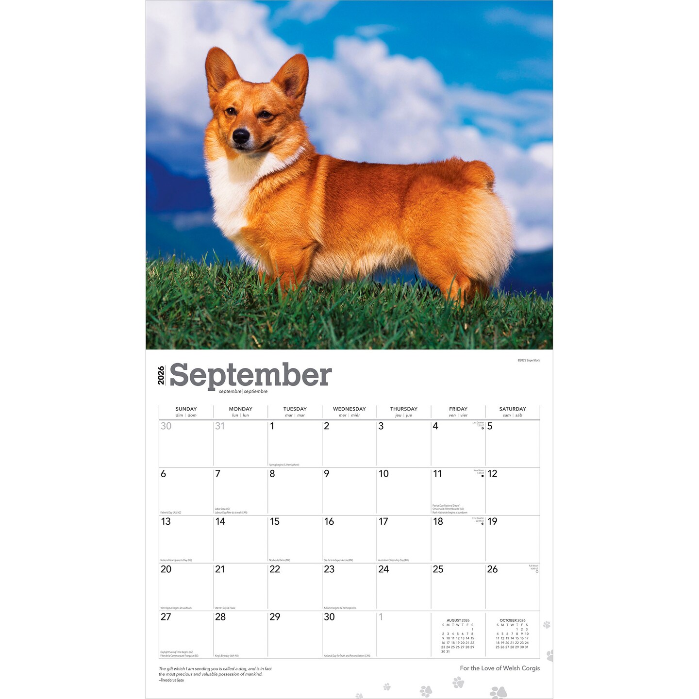 For the Love of Welsh Corgis | 2026 14 x 24 Inch (Hanging) Monthly Deluxe Wall Calendar | Foil Stamped Cover | Plastic-Free