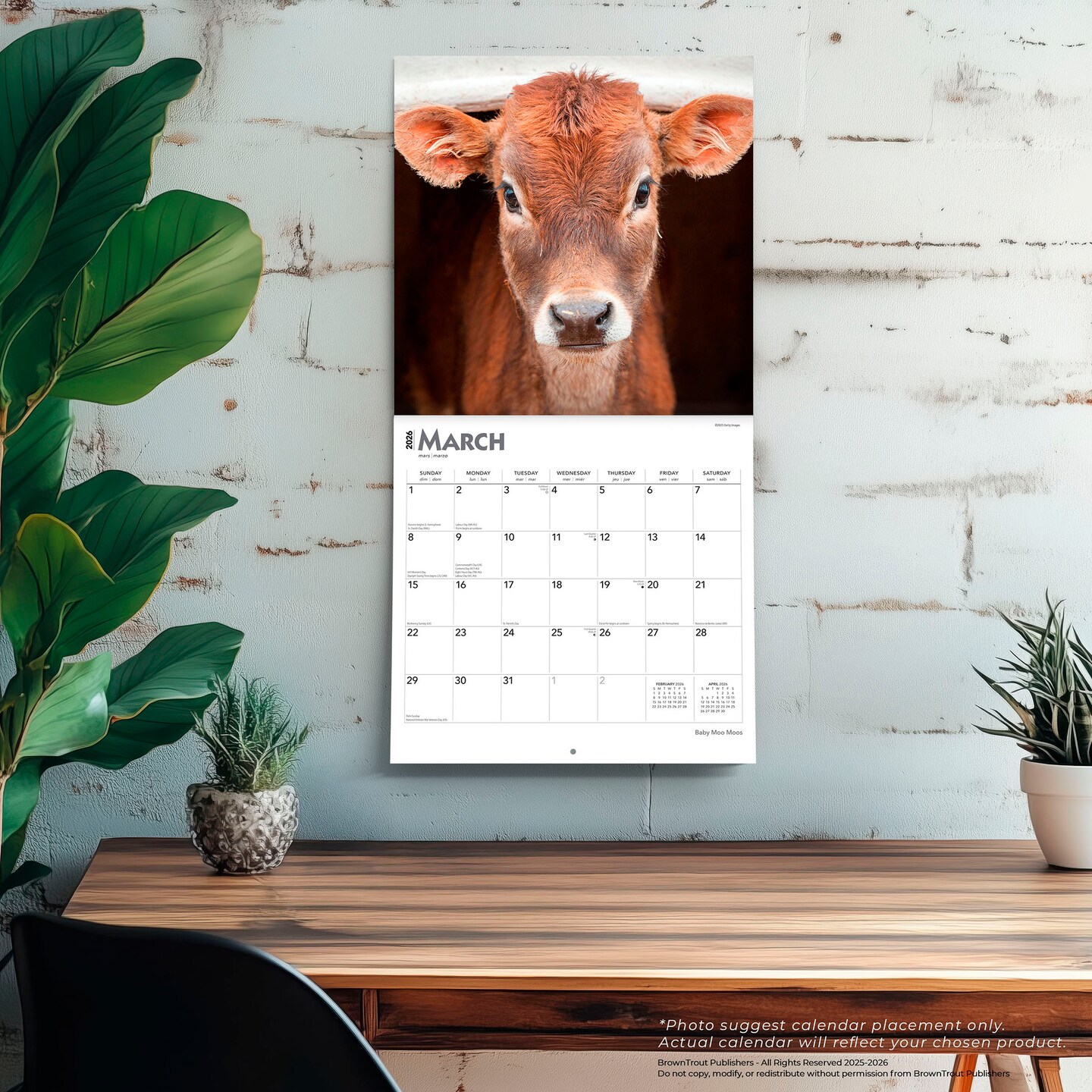 Baby Moo Moos | 2026 12 x 24 Inch (Hanging) Monthly Square Wall Calendar | Plastic-Free