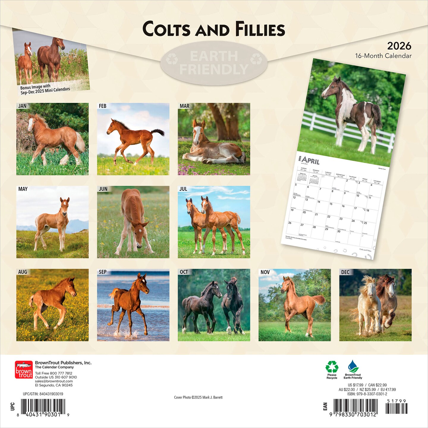 Colts and Fillies | 2026 12 x 24 Inch (Hanging) Monthly Square Wall Calendar | Plastic-Free