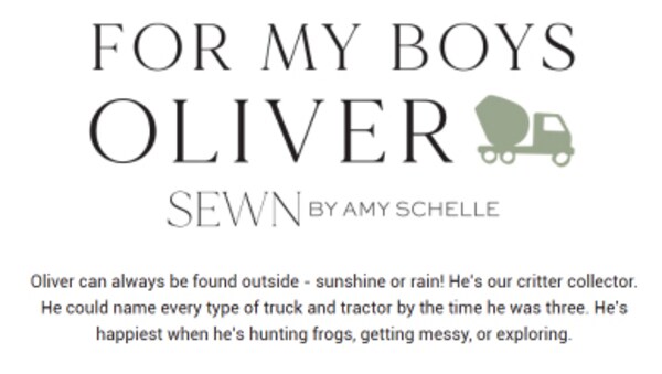 For My Boys Oliver 2.5" Strip Roll (Jelly Roll) by Sewn By Amy Schelle for Moda (25160JR)