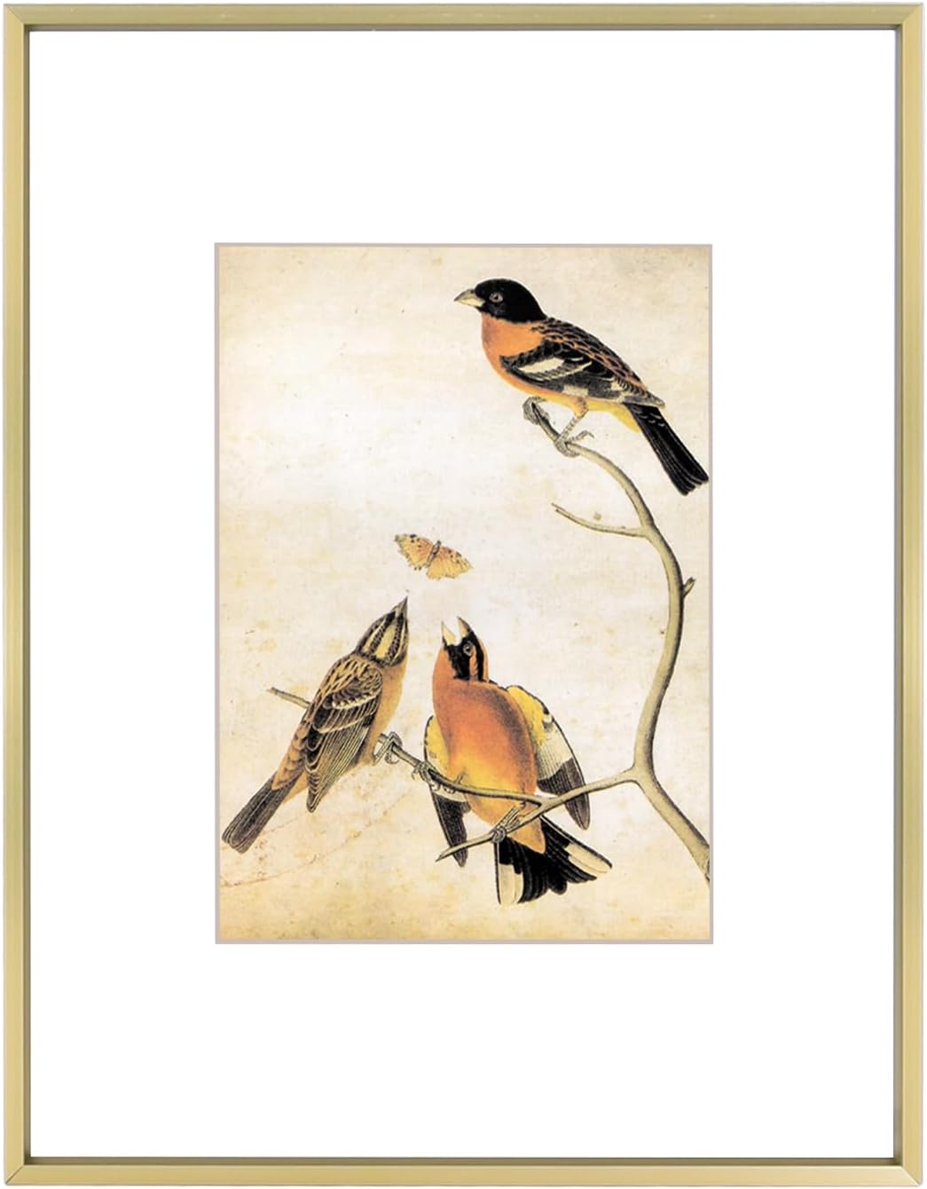 8.5x11 Picture Frame, Brass Metal Photo Frames with HD Glass, Fits 5x7 with Mat or 8.5 x 11 without Mat, Display for Wall and Table, 1 Pack