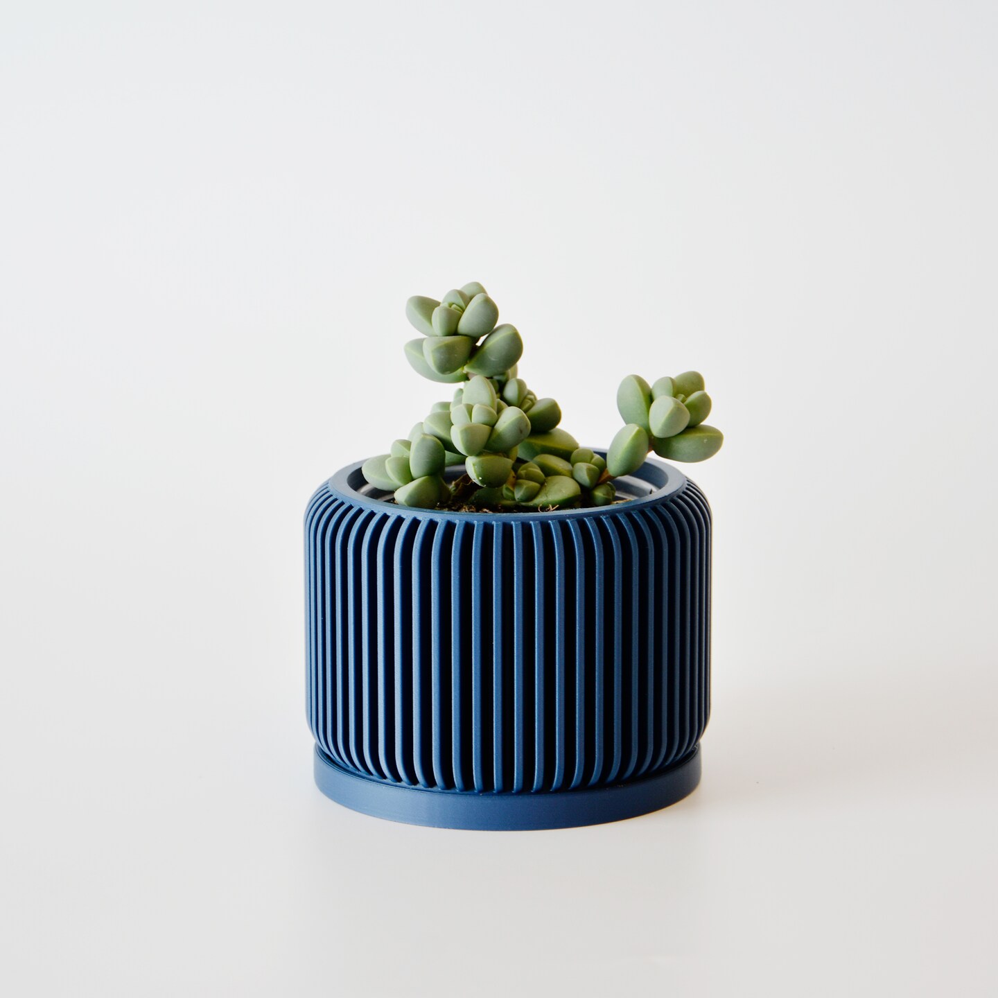 5 gallon pot plants Smart Pot 5 Gallon main image 1