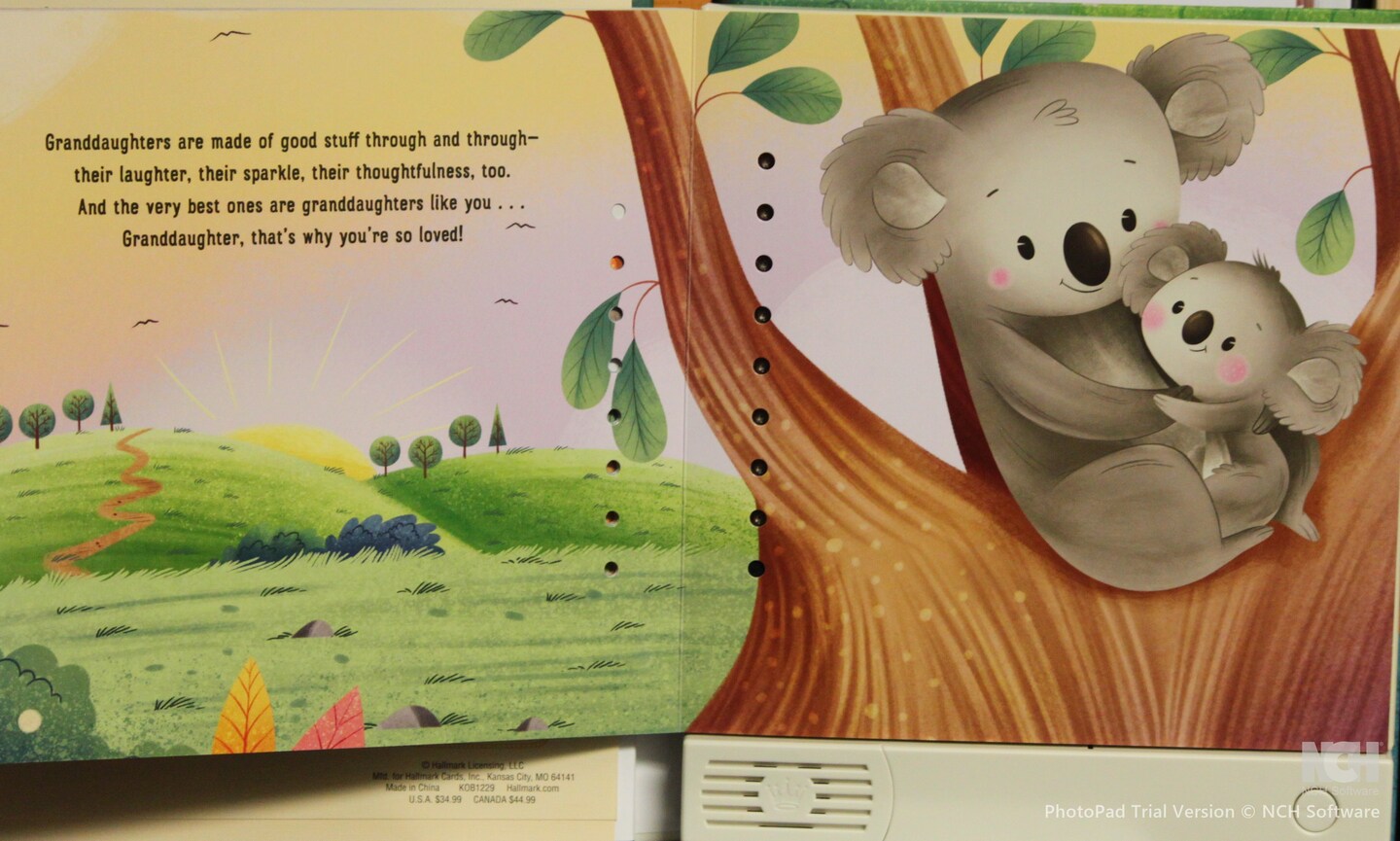 Hallmark What Are Granddaughters Made Of? Recordable Storybook
