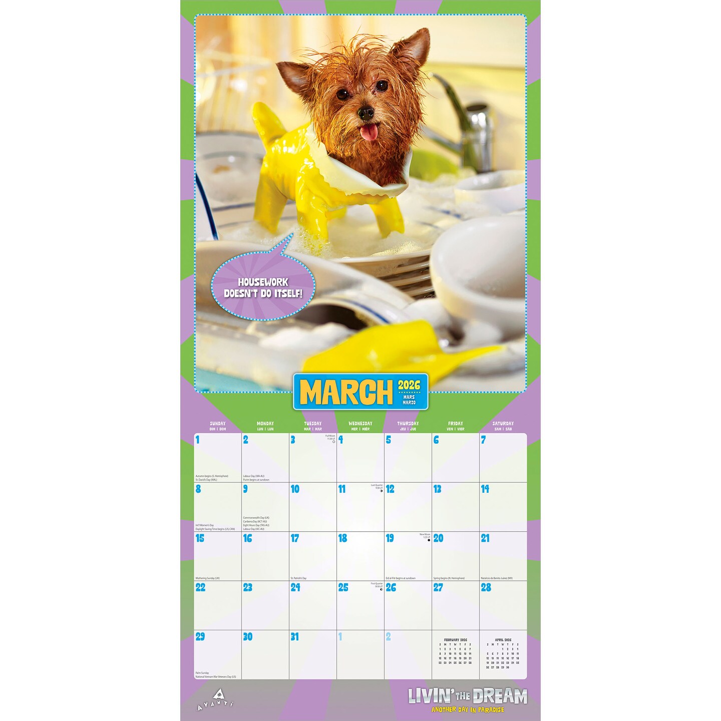 Avanti Livin' the Dream OFFICIAL | 2026 12 x 24 Inch (Hanging) Monthly Square Wall Calendar | Foil Stamped Cover | Plastic-Free | BrownTrout | Motivation Inspiration Funny