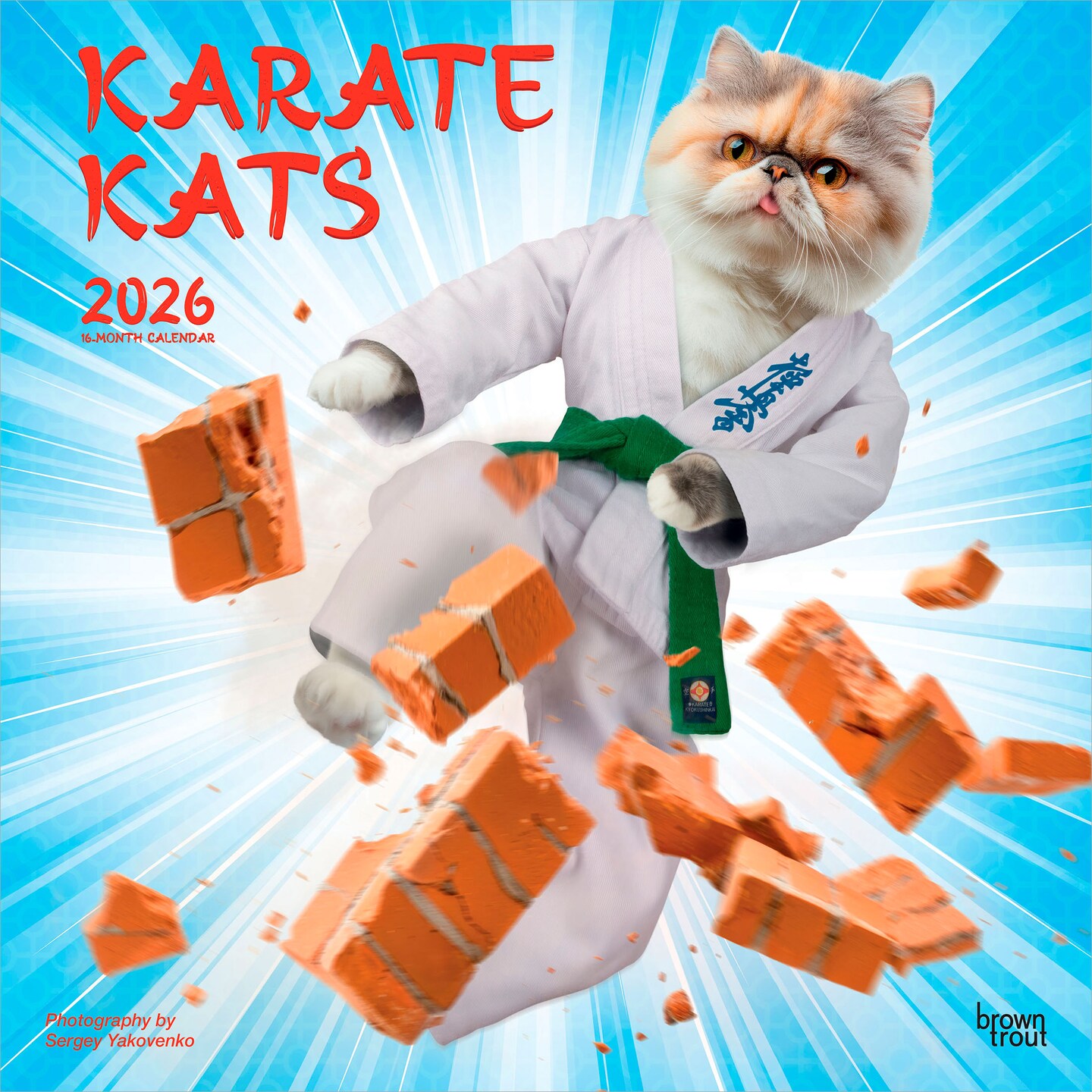 Karate Cats OFFICIAL | 2026 12 x 24 Inch (Hanging) Monthly Square Wall Calendar | Plastic-Free | BrownTrout | Pets Funny Animals Feline